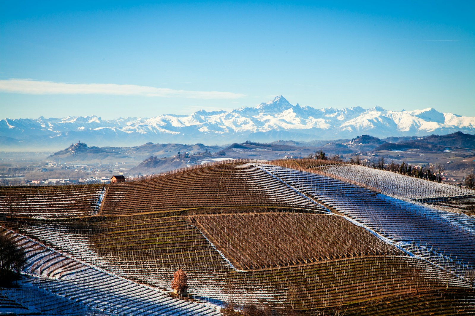 Monviso sullo sfondo dei vigneti di Barbaresco: veduta piemontese, non Ostana.